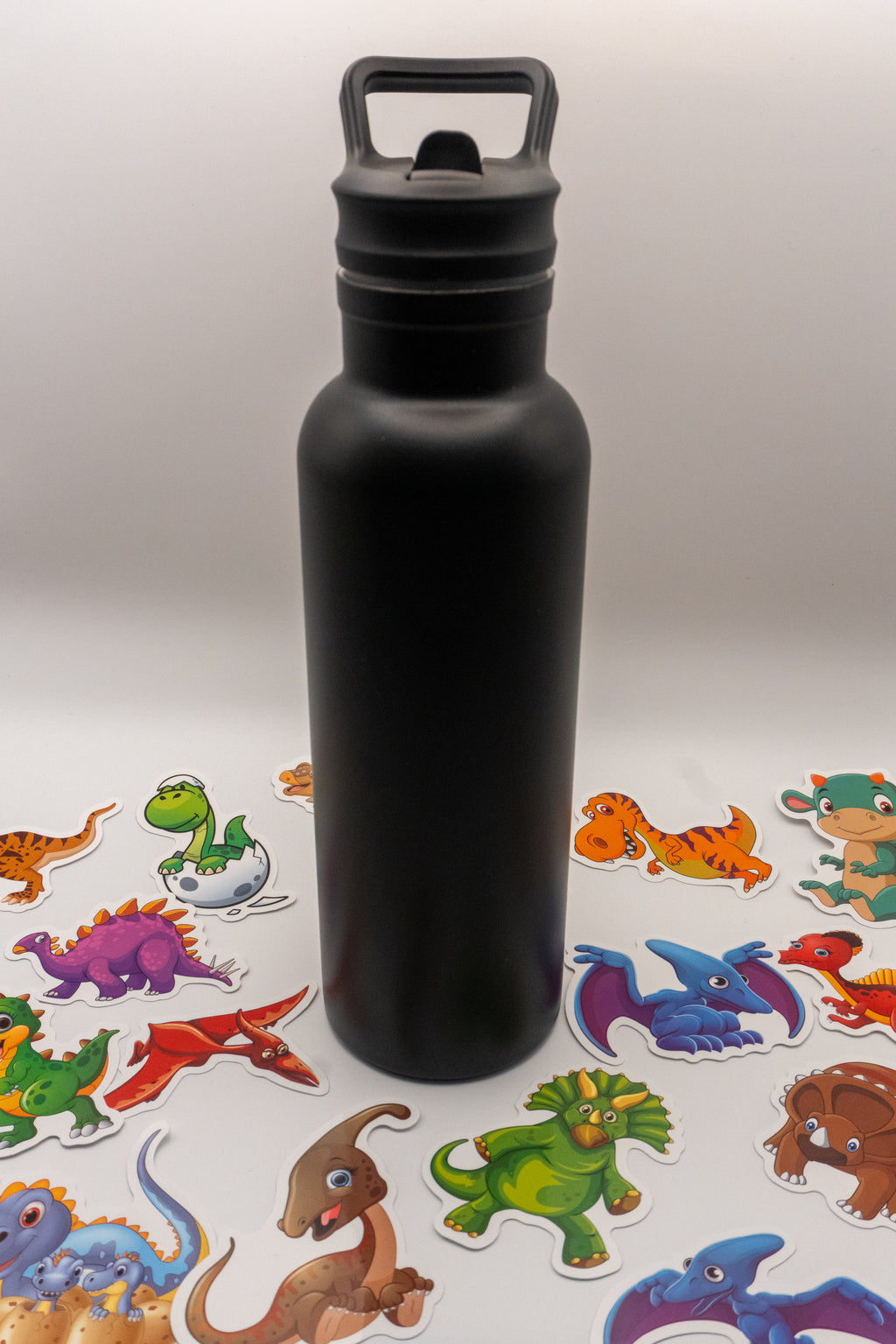 Water Bottle with Dino Stickers (500 ml)