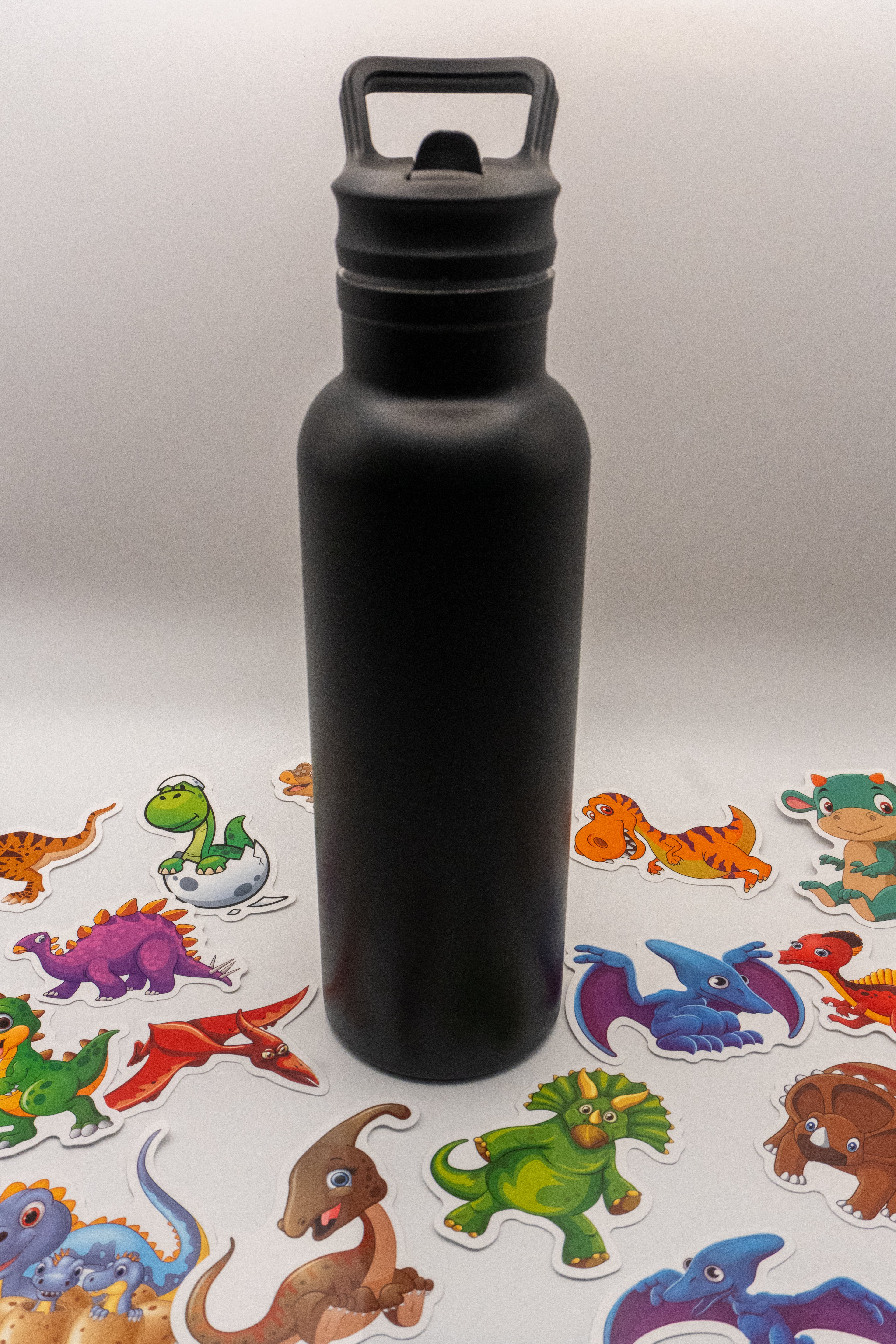Water Bottle with Dino Stickers (500 ml)